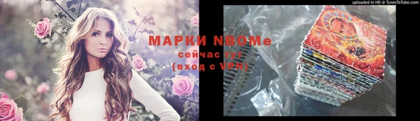прущие крисы Вяземский