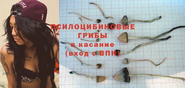 прущие крисы Вяземский
