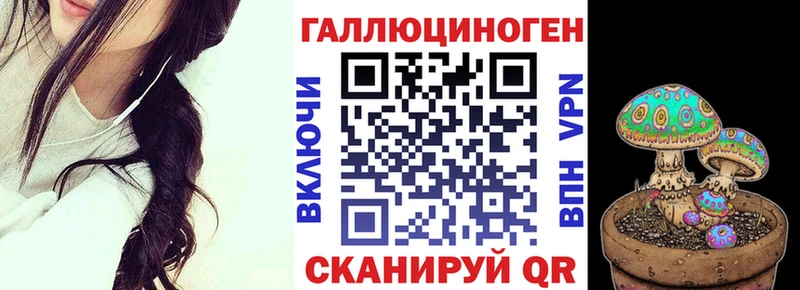 Псилоцибиновые грибы Psilocybe Осташков
